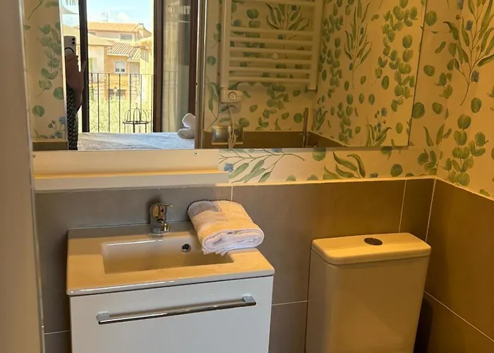 Vino Tinto Y Restaurante Tomate Rosa * Adahuesca